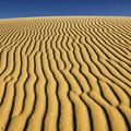 Desert Shadows
